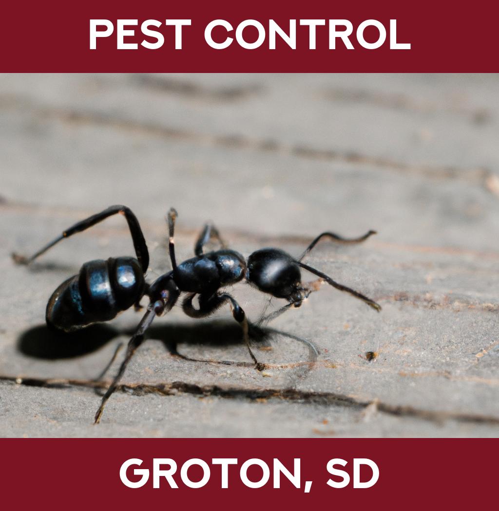 pest control in Groton South Dakota