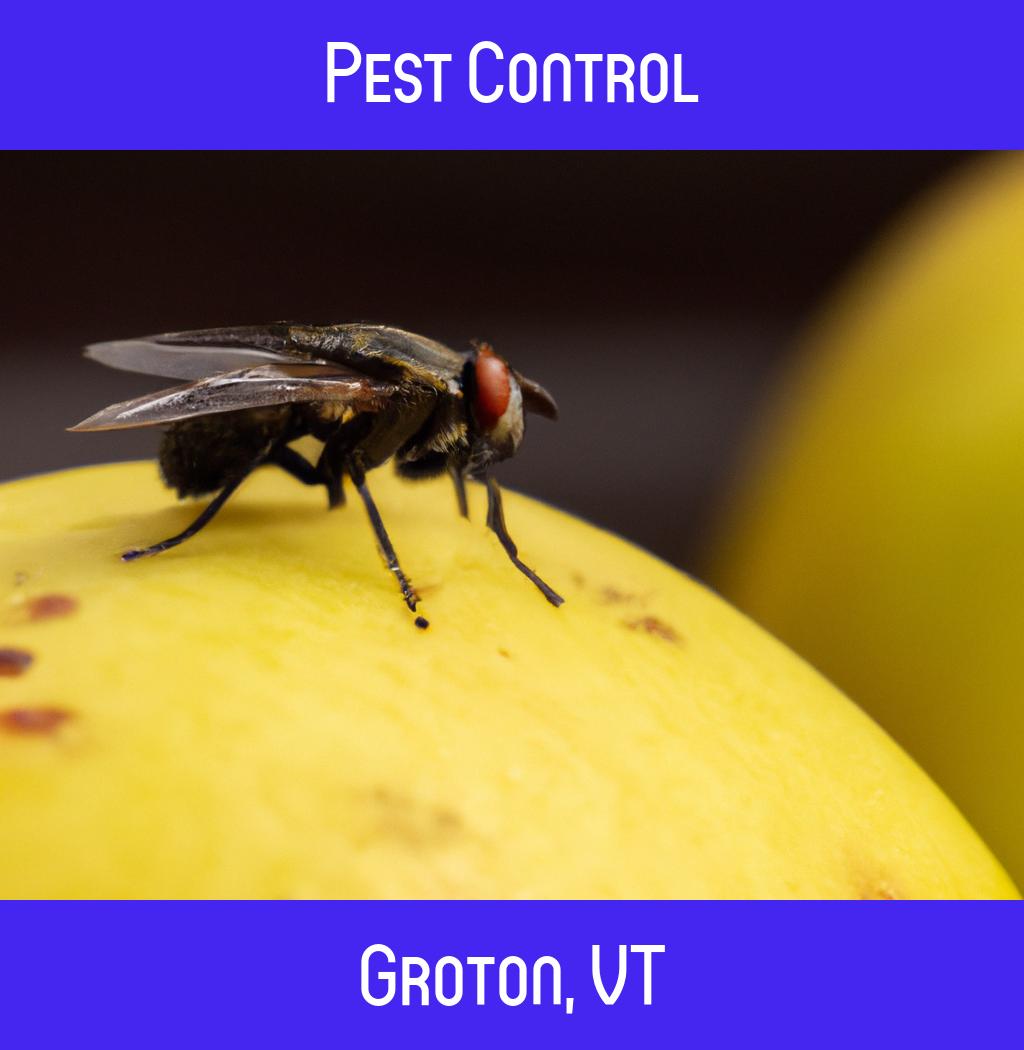 pest control in Groton Vermont