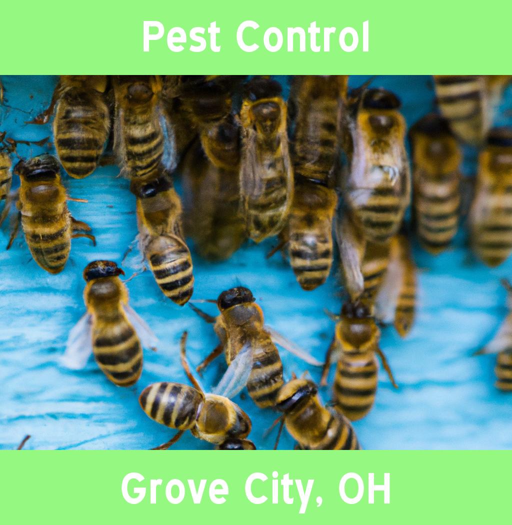 pest control in Grove City Ohio