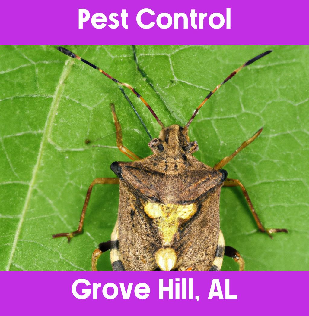 pest control in Grove Hill Alabama