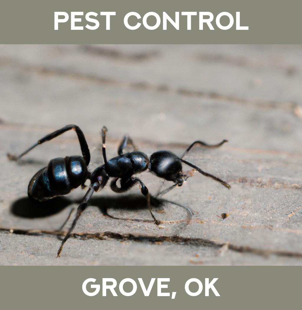 pest control in Grove Oklahoma