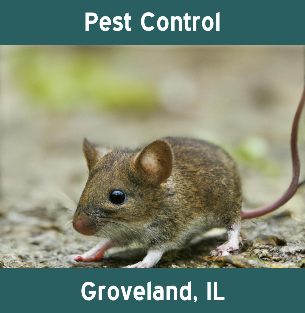 pest control in Groveland Illinois