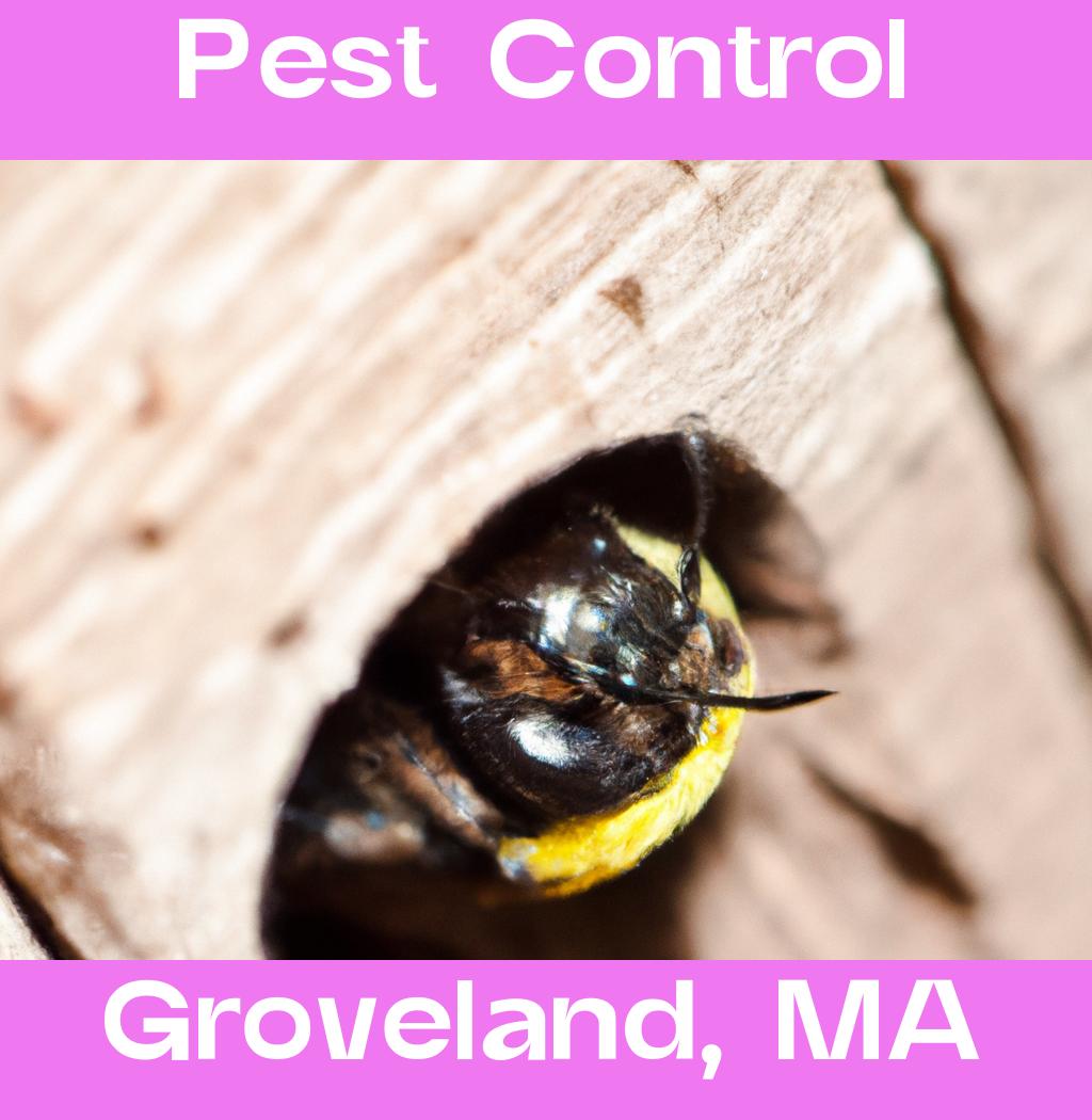pest control in Groveland Massachusetts