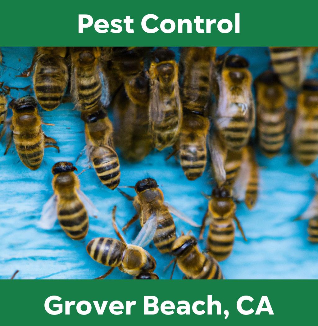 pest control in Grover Beach California