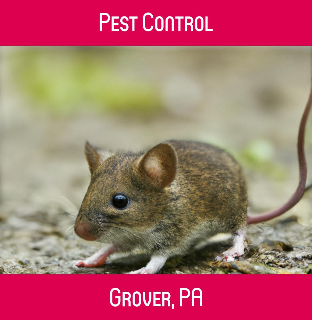 pest control in Grover Pennsylvania