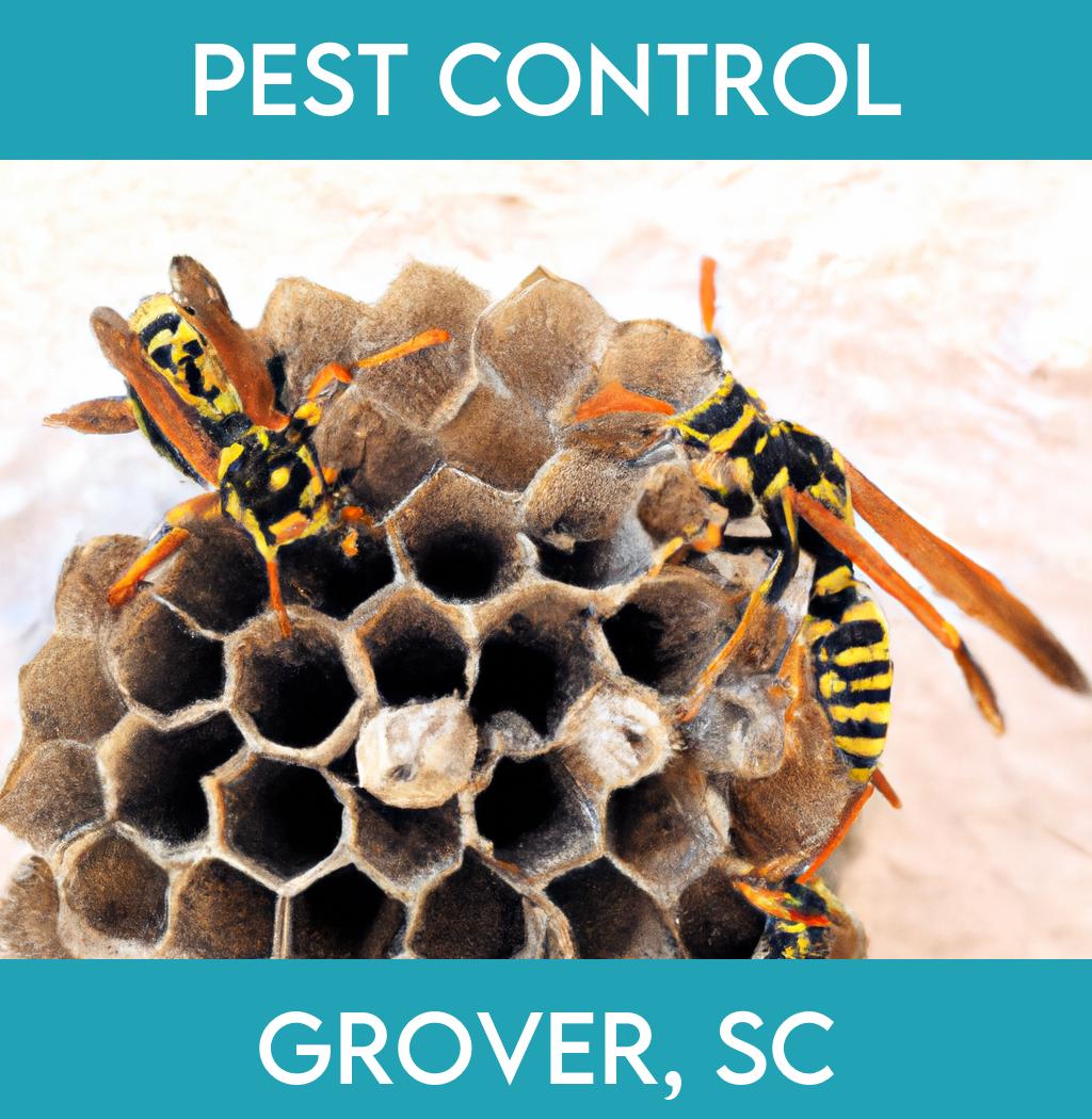 pest control in Grover South Carolina