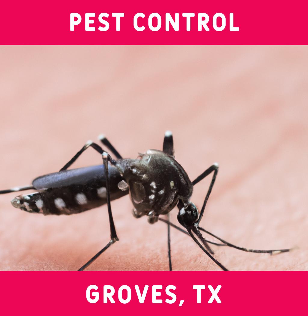 pest control in Groves Texas