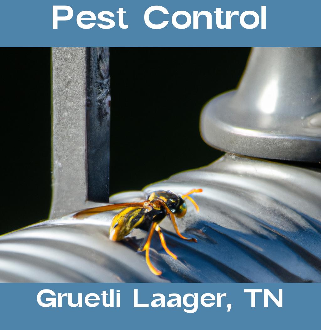 pest control in Gruetli Laager Tennessee