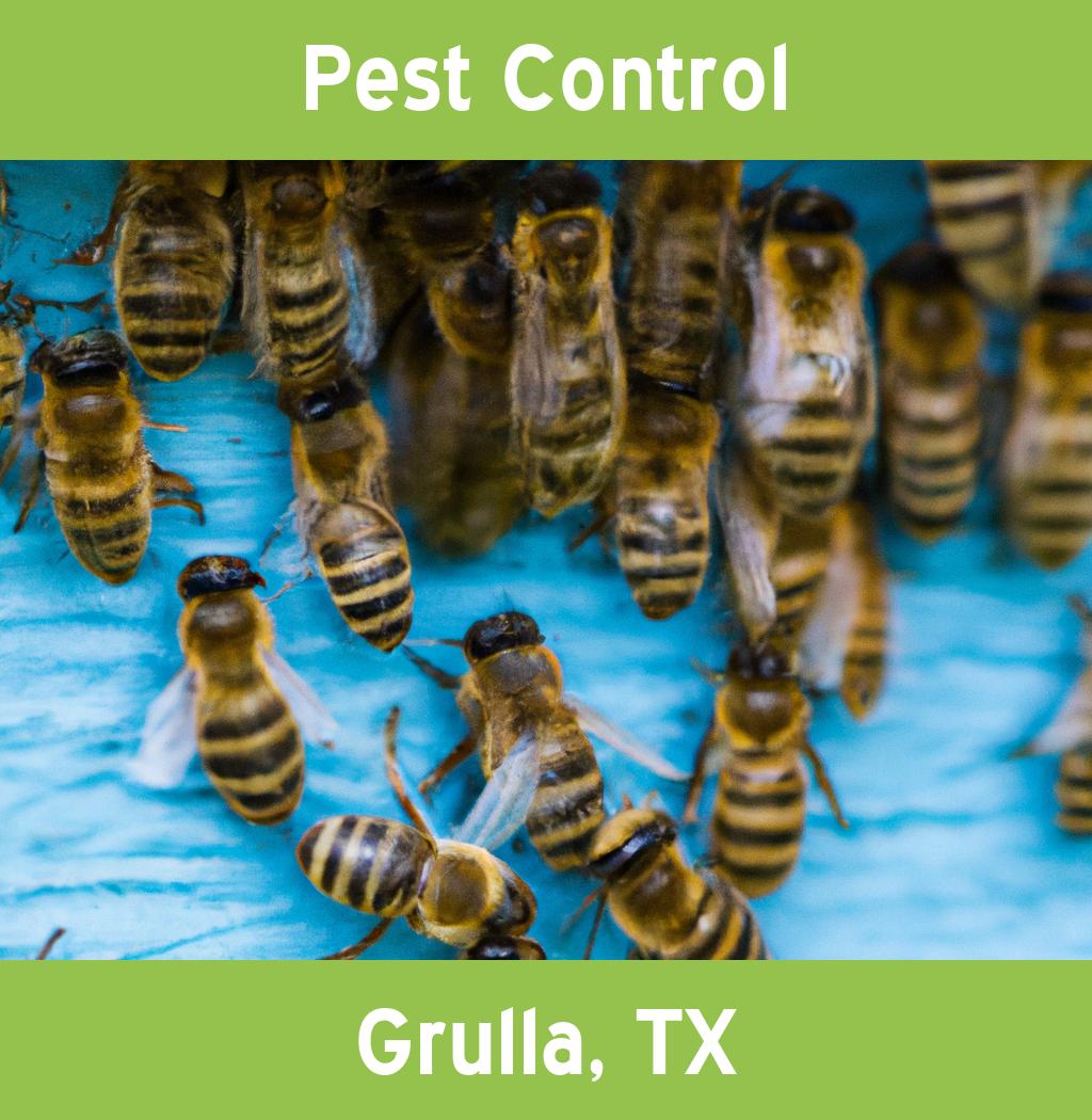 pest control in Grulla Texas
