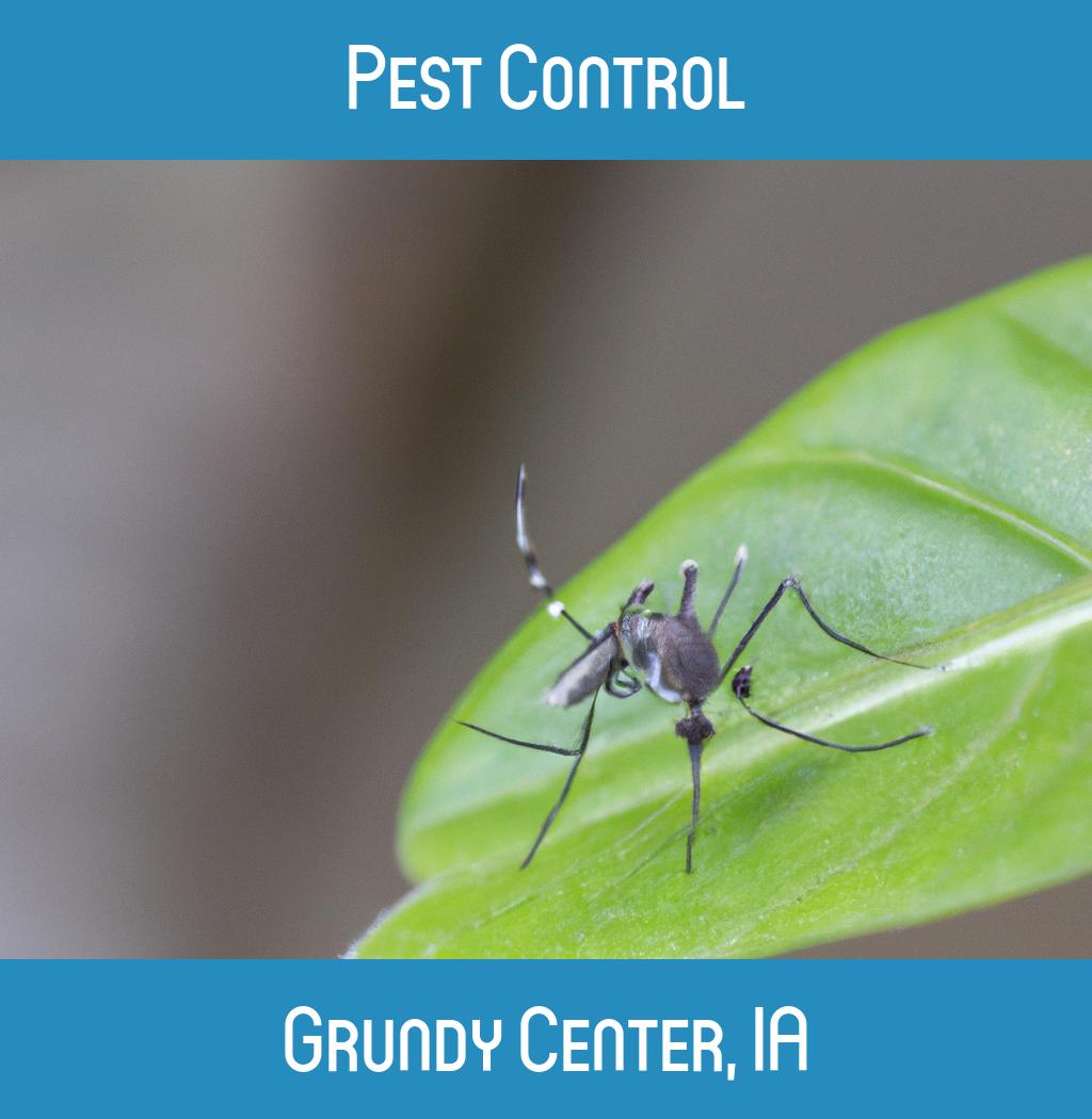 pest control in Grundy Center Iowa