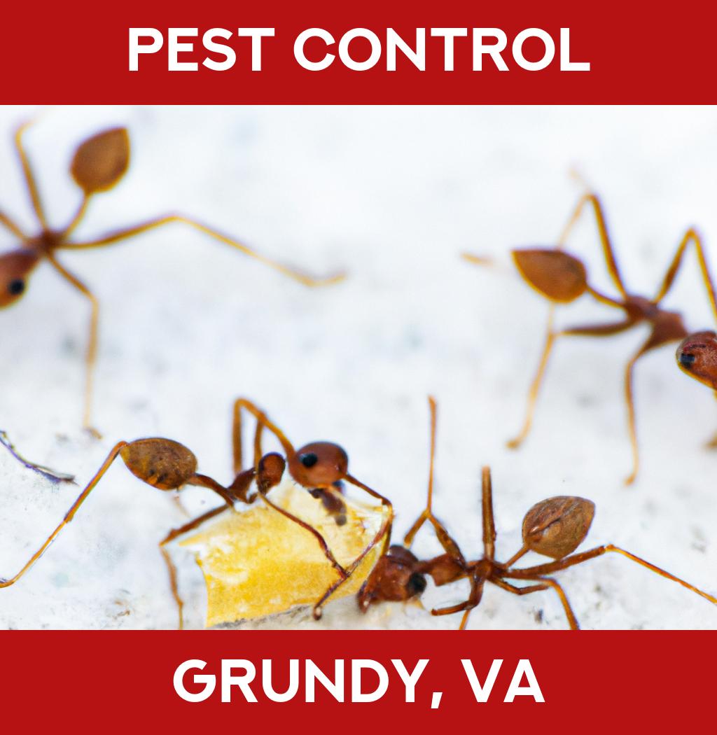 pest control in Grundy Virginia