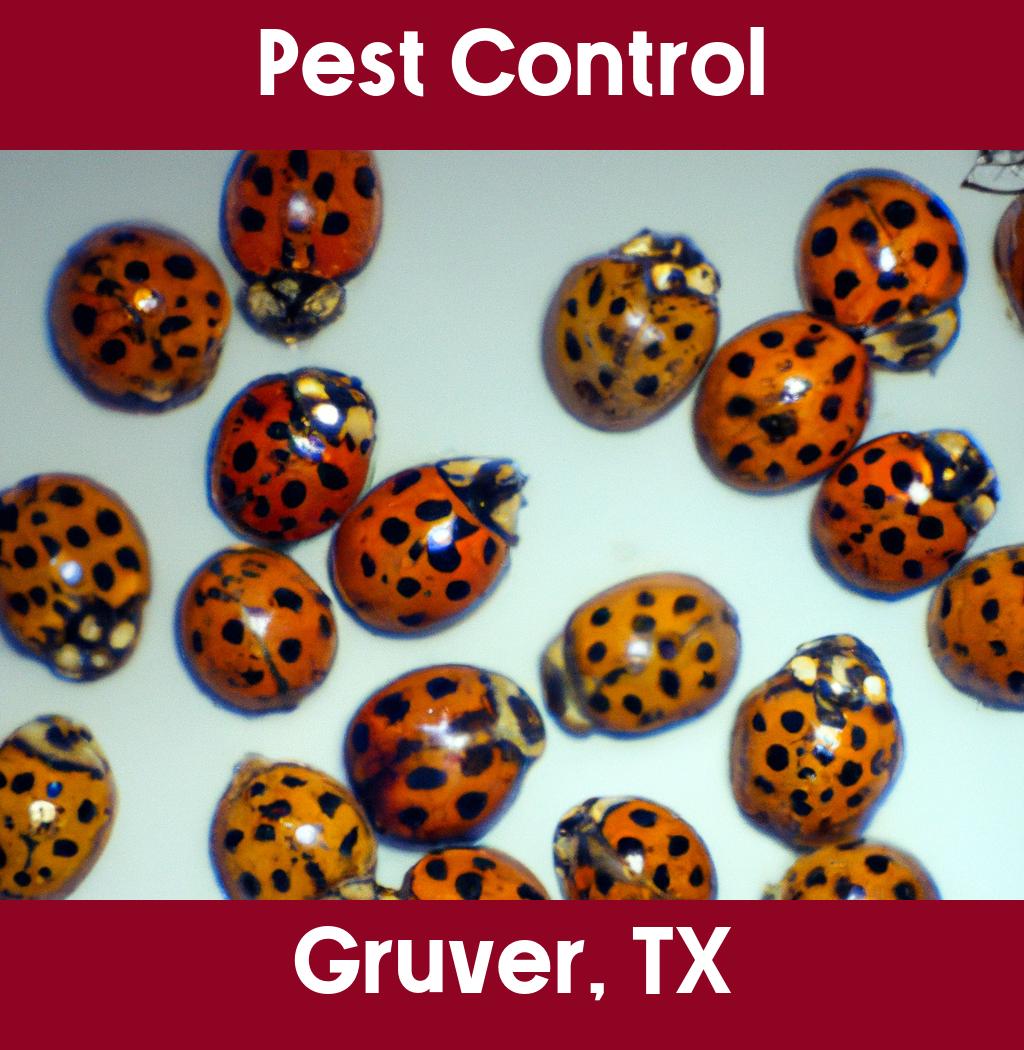 pest control in Gruver Texas