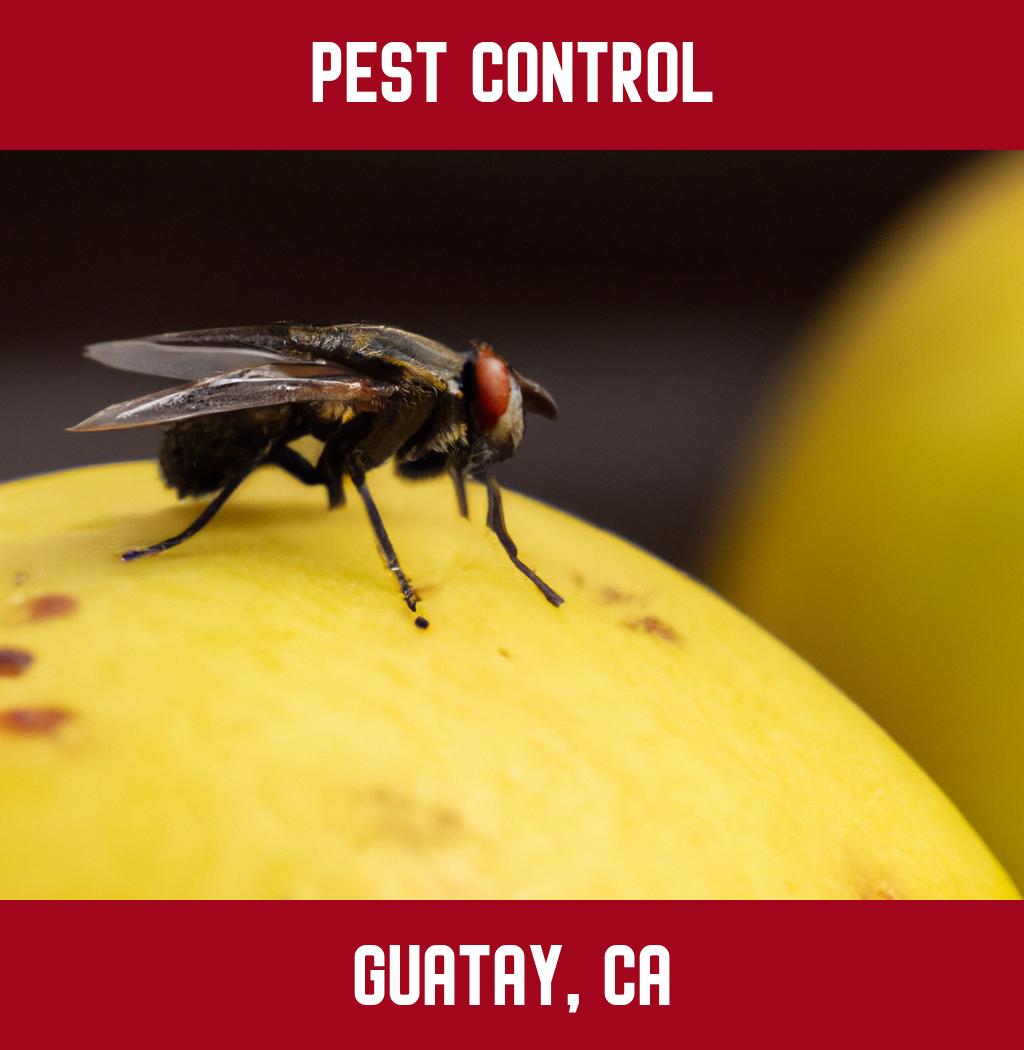 pest control in Guatay California