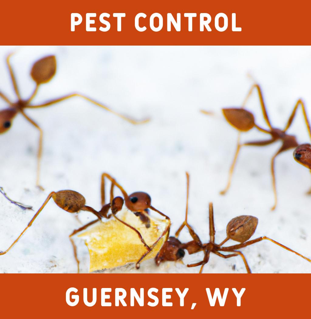pest control in Guernsey Wyoming