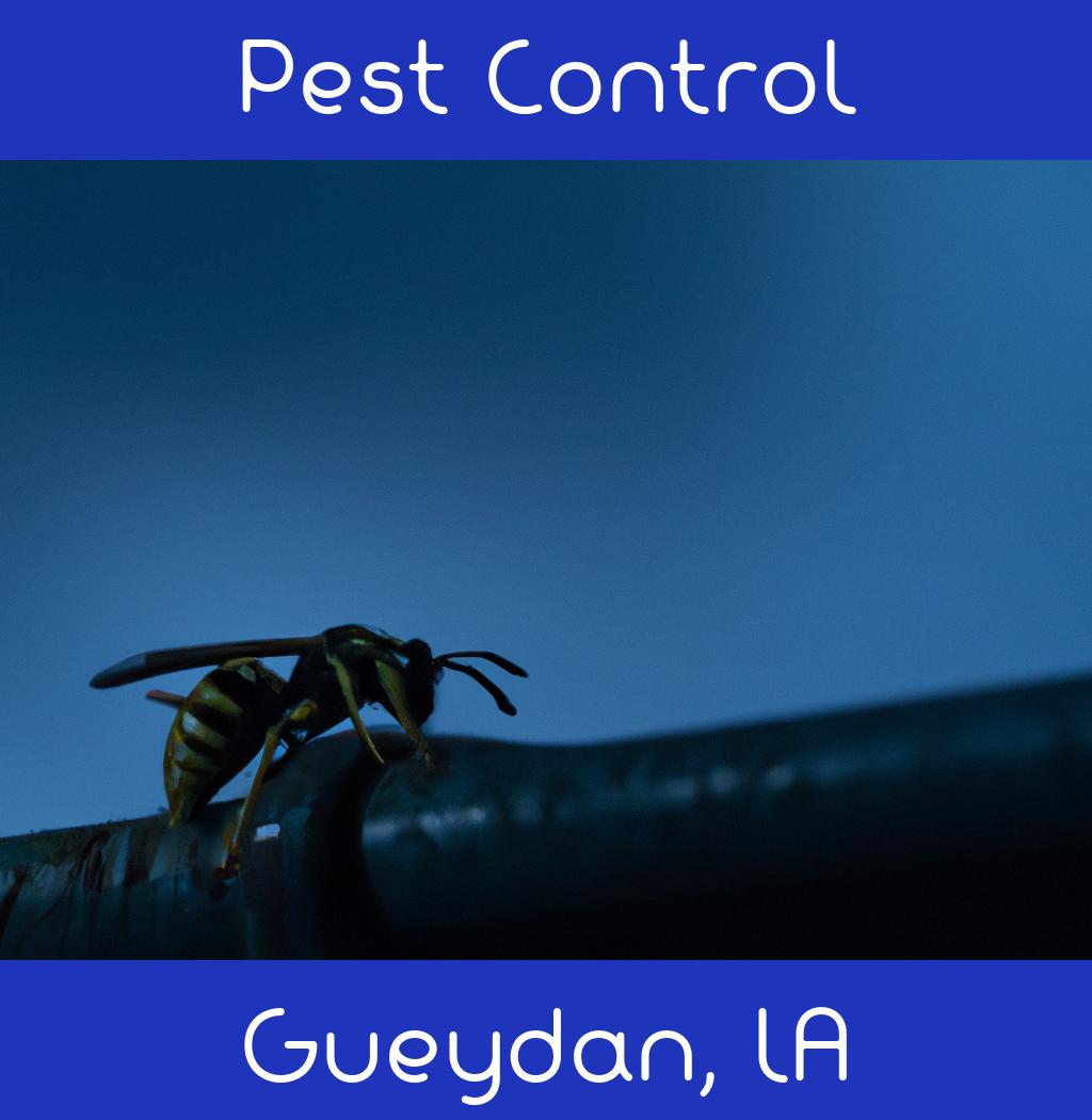 pest control in Gueydan Louisiana