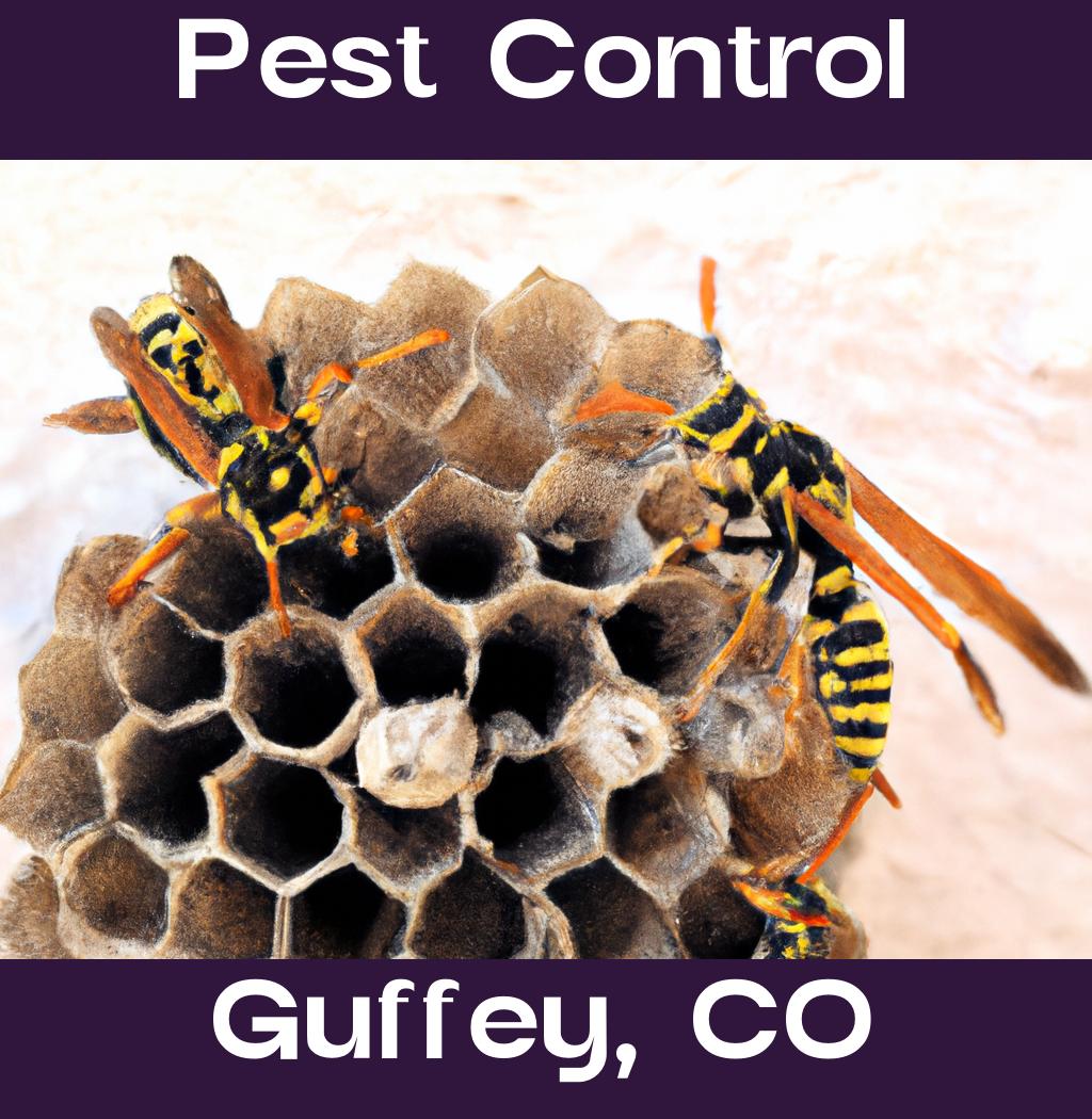 pest control in Guffey Colorado