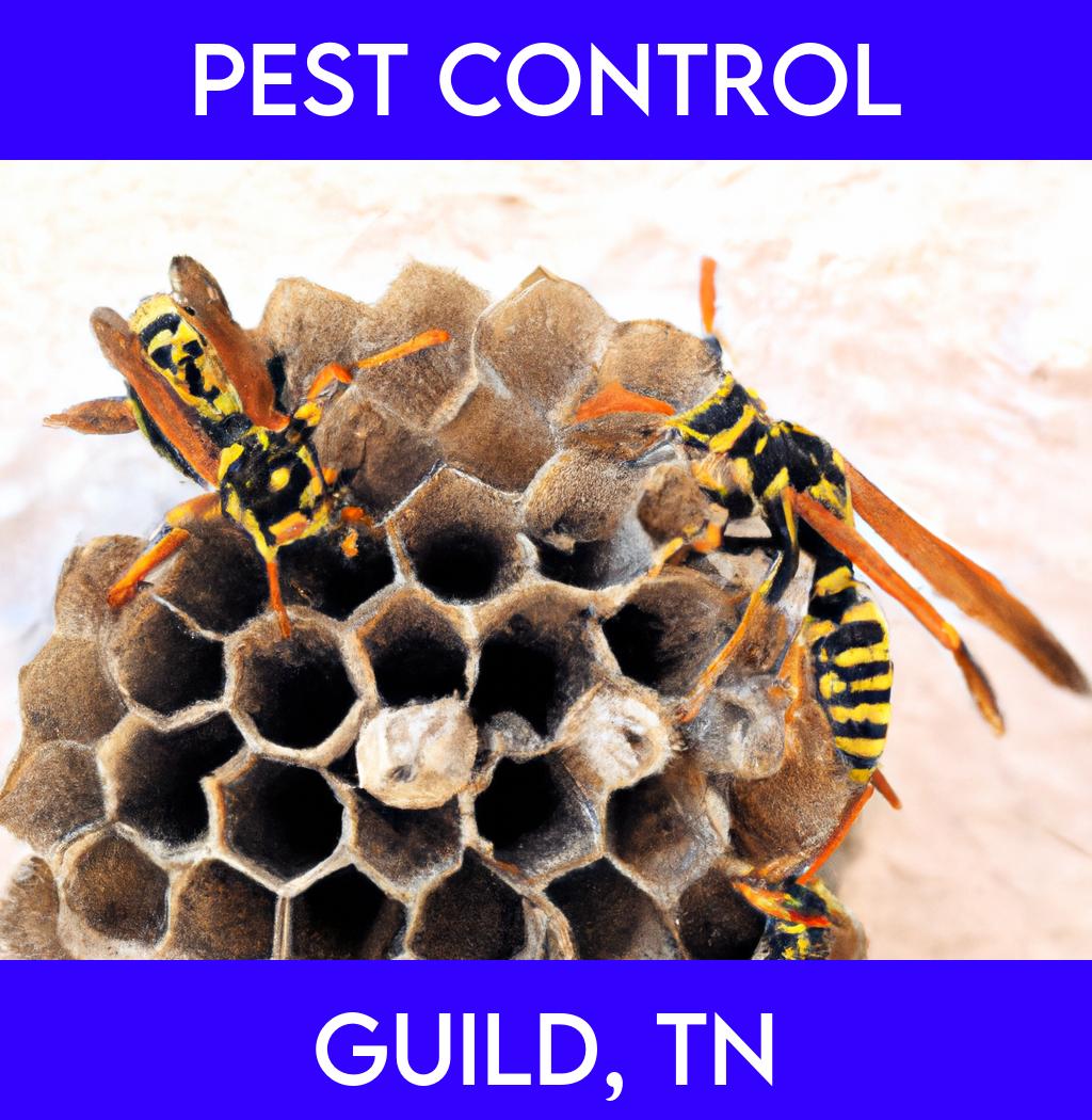 pest control in Guild Tennessee