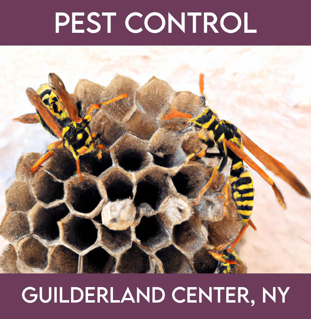 pest control in Guilderland Center New York