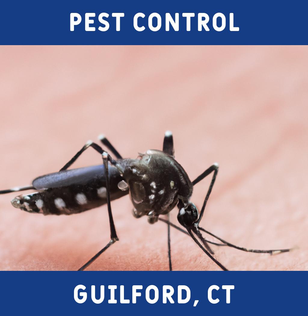 pest control in Guilford Connecticut