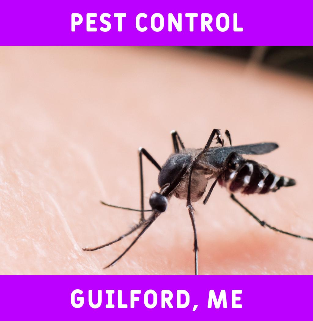 pest control in Guilford Maine
