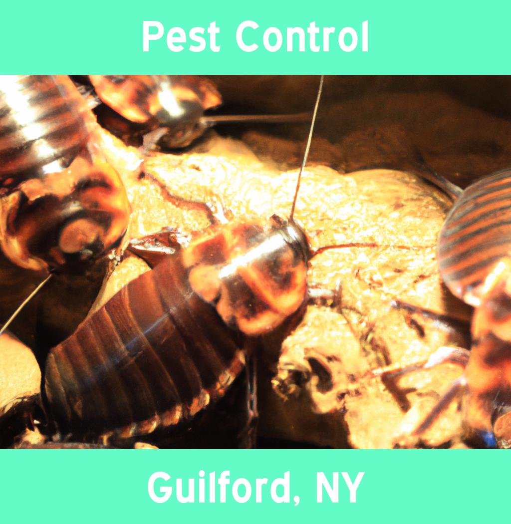 pest control in Guilford New York
