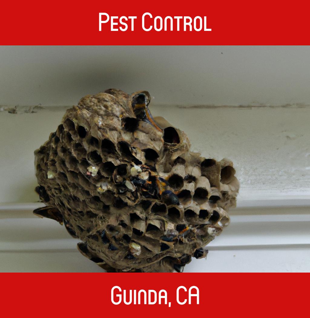pest control in Guinda California