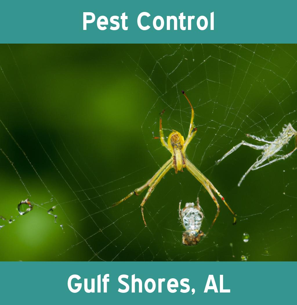 pest control in Gulf Shores Alabama