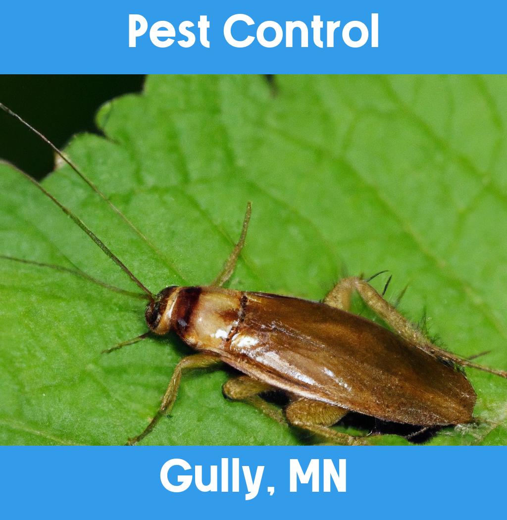 pest control in Gully Minnesota
