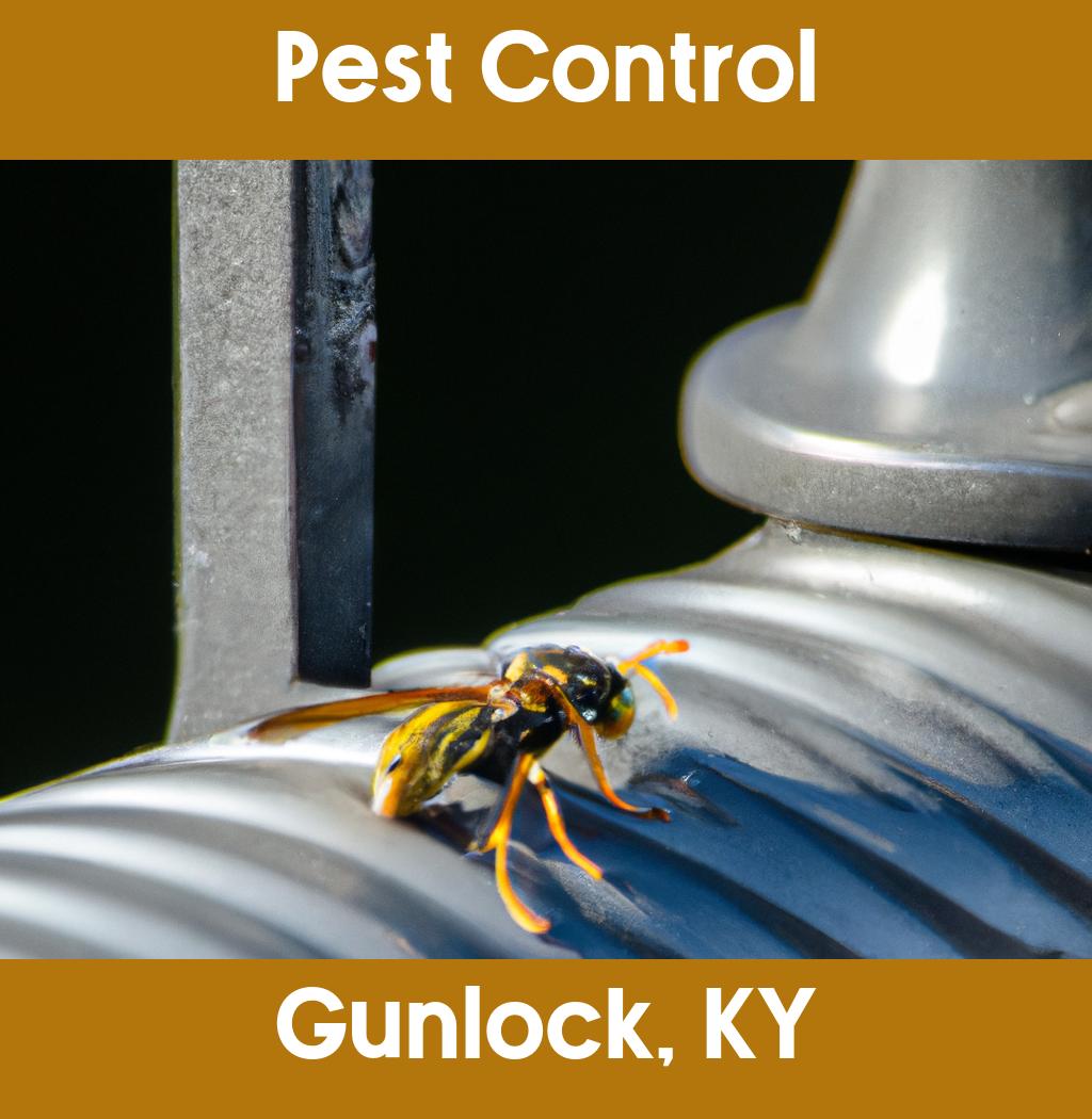 pest control in Gunlock Kentucky