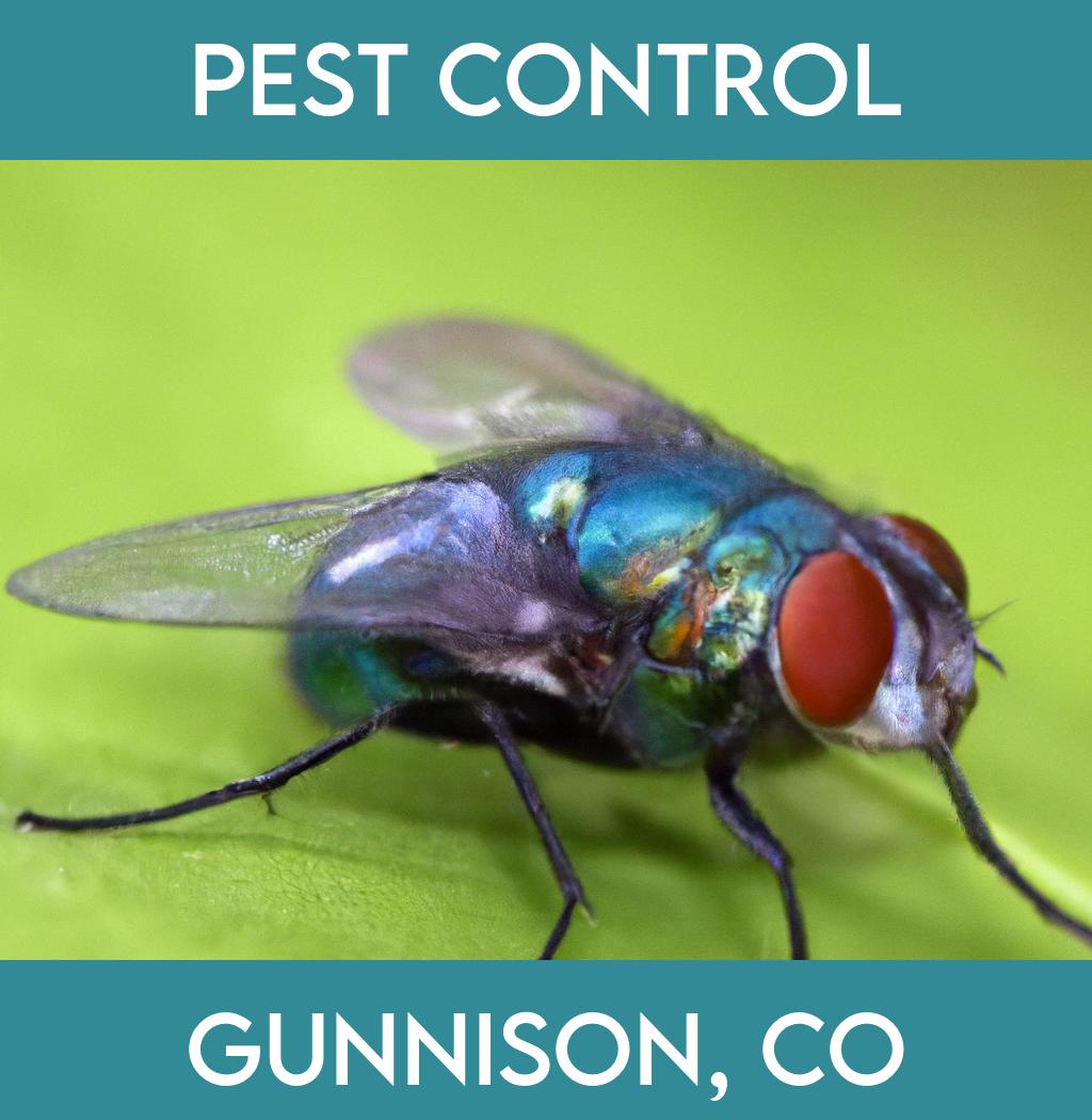 pest control in Gunnison Colorado