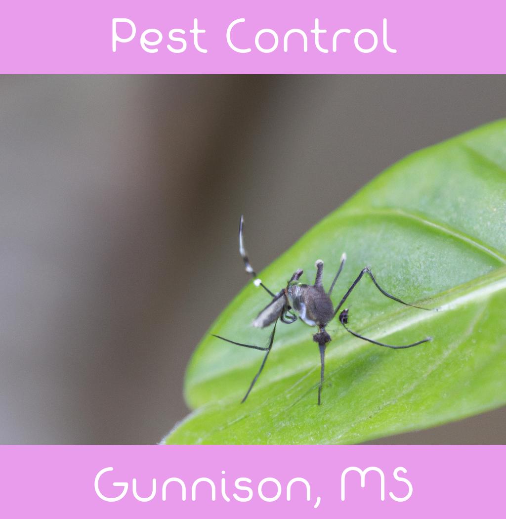 pest control in Gunnison Mississippi