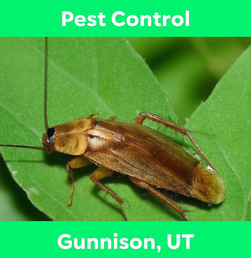 pest control in Gunnison Utah