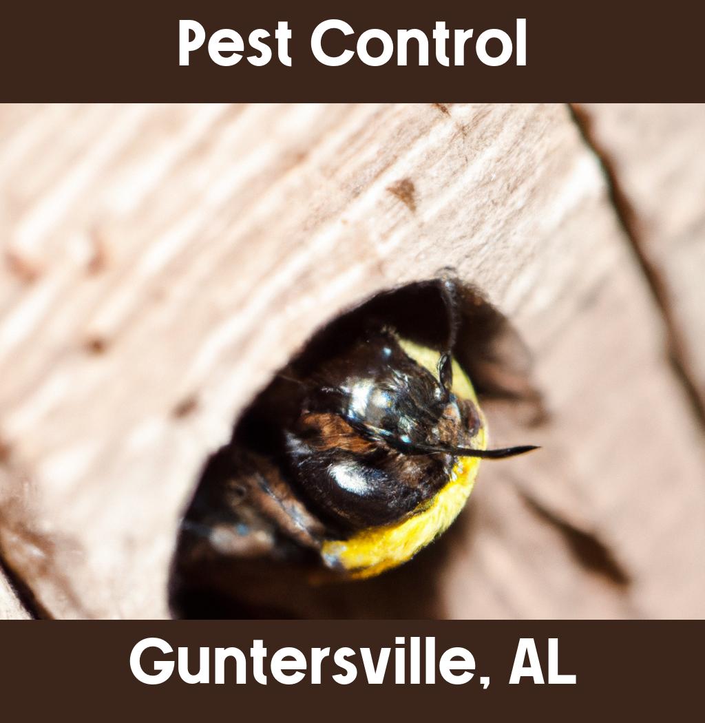 pest control in Guntersville Alabama