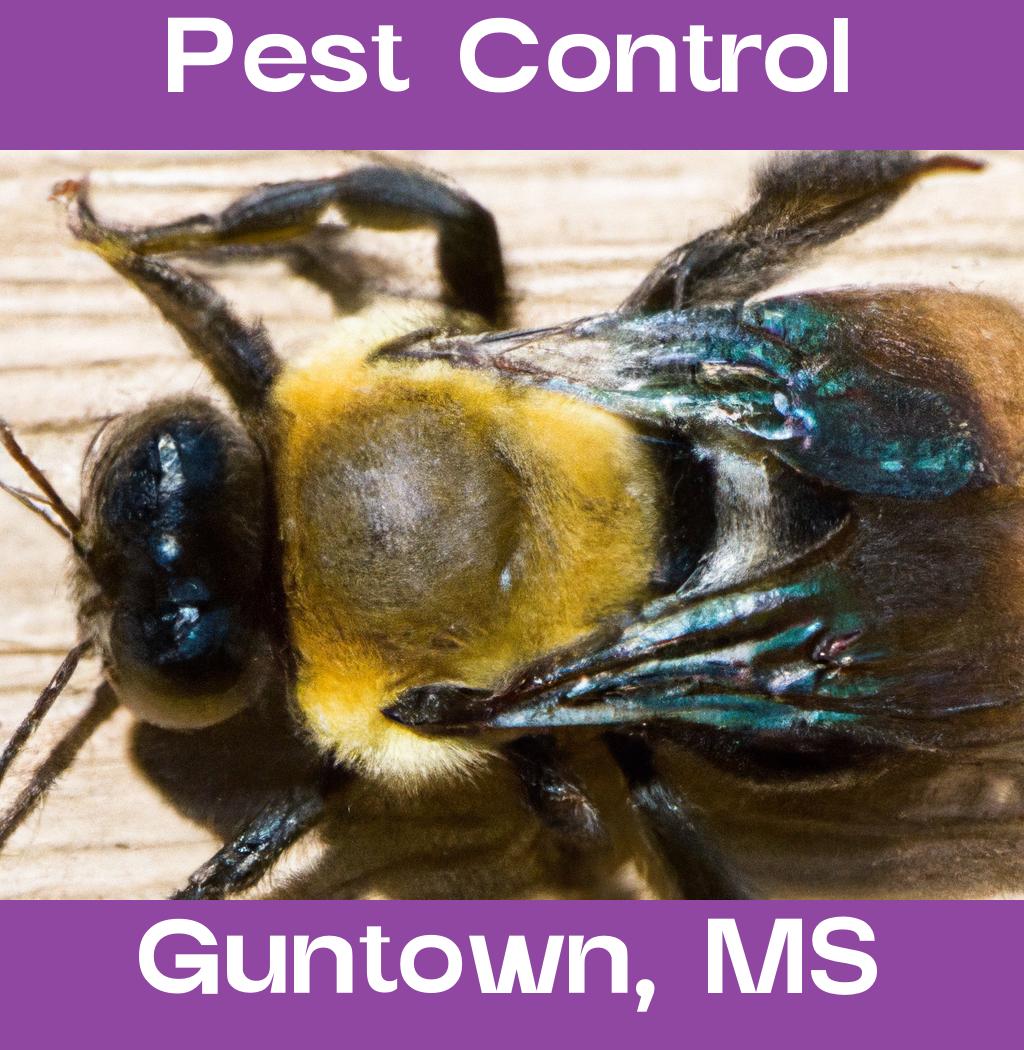 pest control in Guntown Mississippi