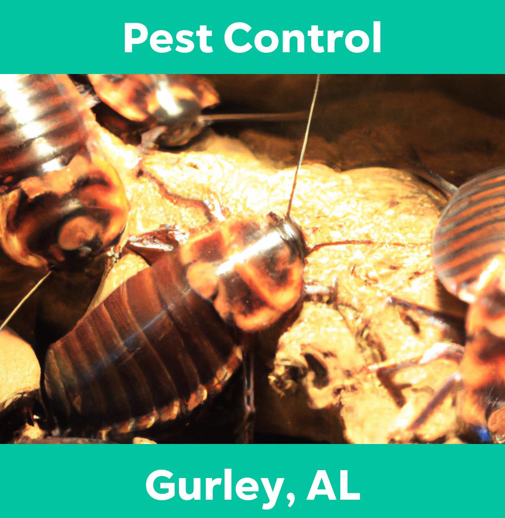 pest control in Gurley Alabama