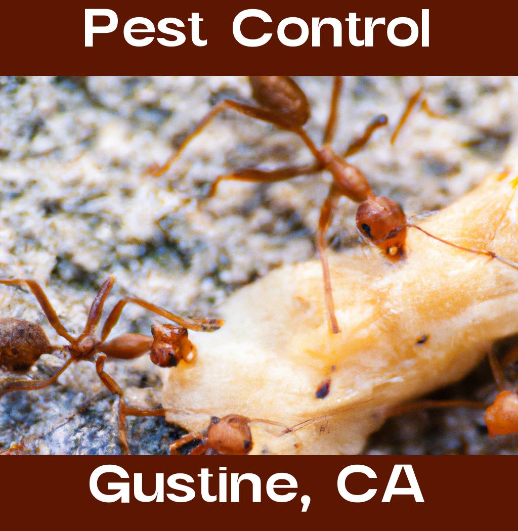 pest control in Gustine California