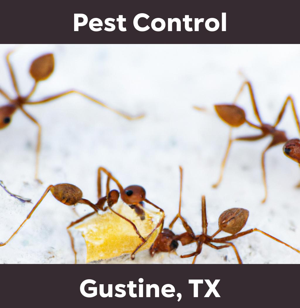 pest control in Gustine Texas