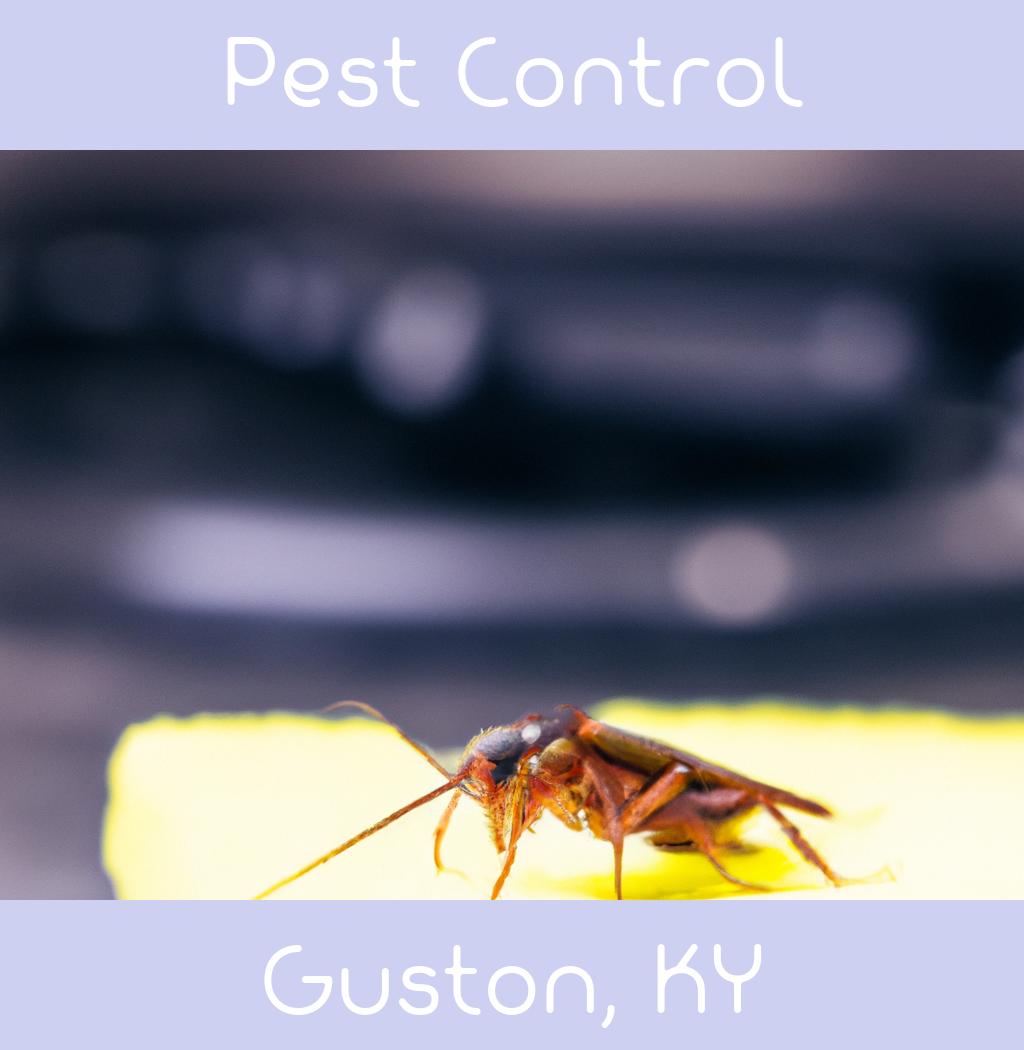 pest control in Guston Kentucky