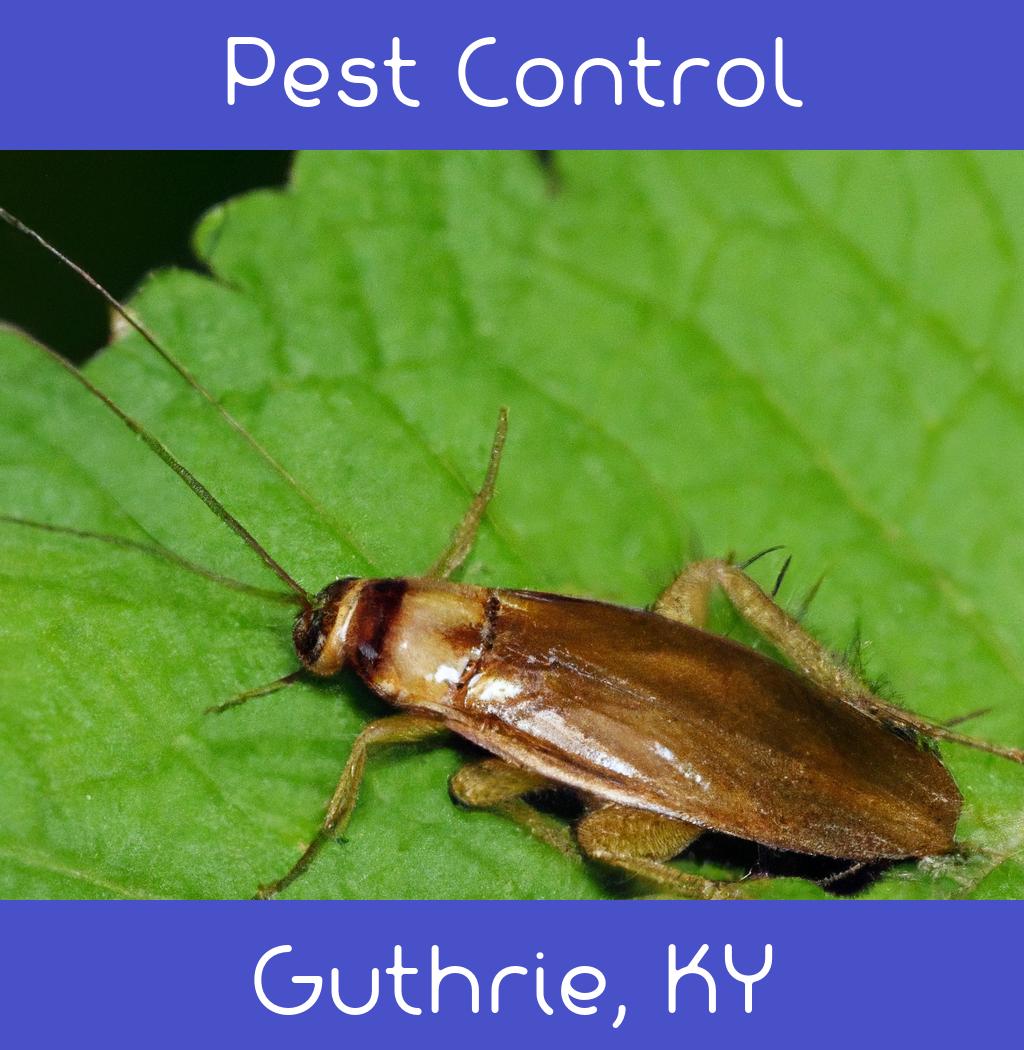 pest control in Guthrie Kentucky