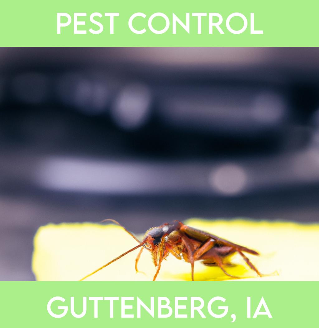 pest control in Guttenberg Iowa