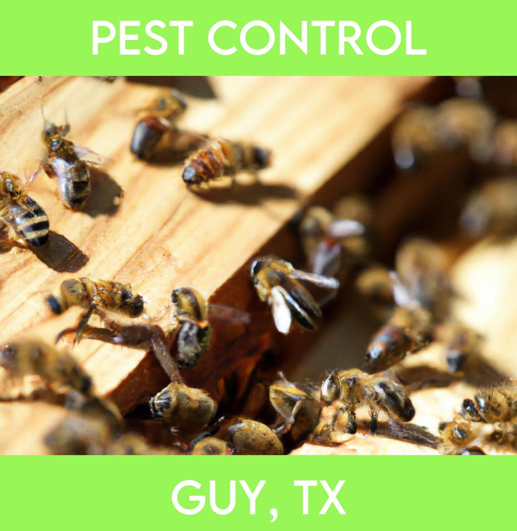 pest control in Guy Texas