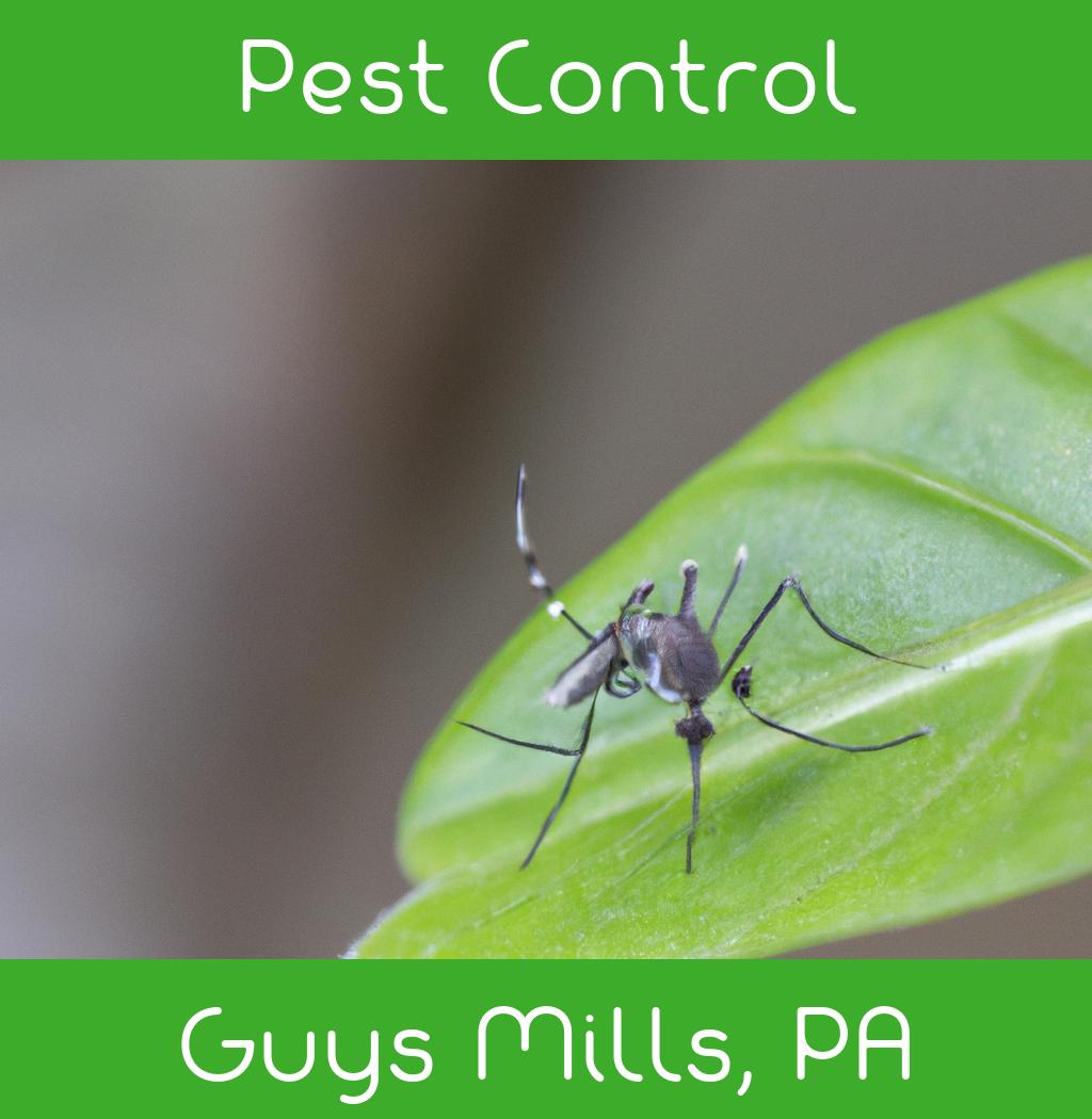 pest control in Guys Mills Pennsylvania