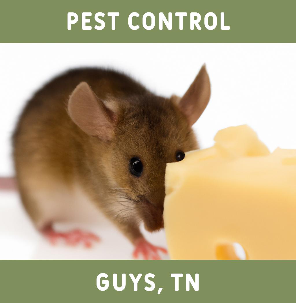 pest control in Guys Tennessee