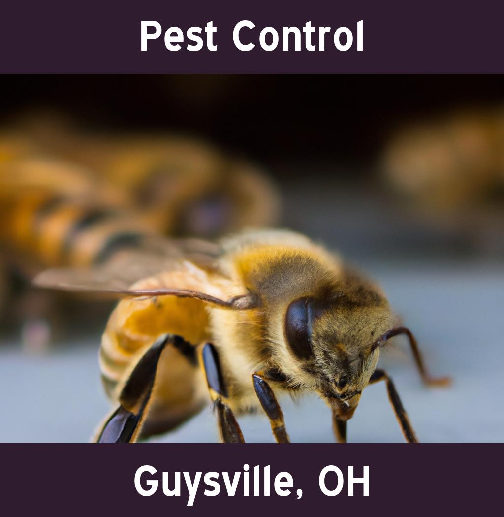 pest control in Guysville Ohio