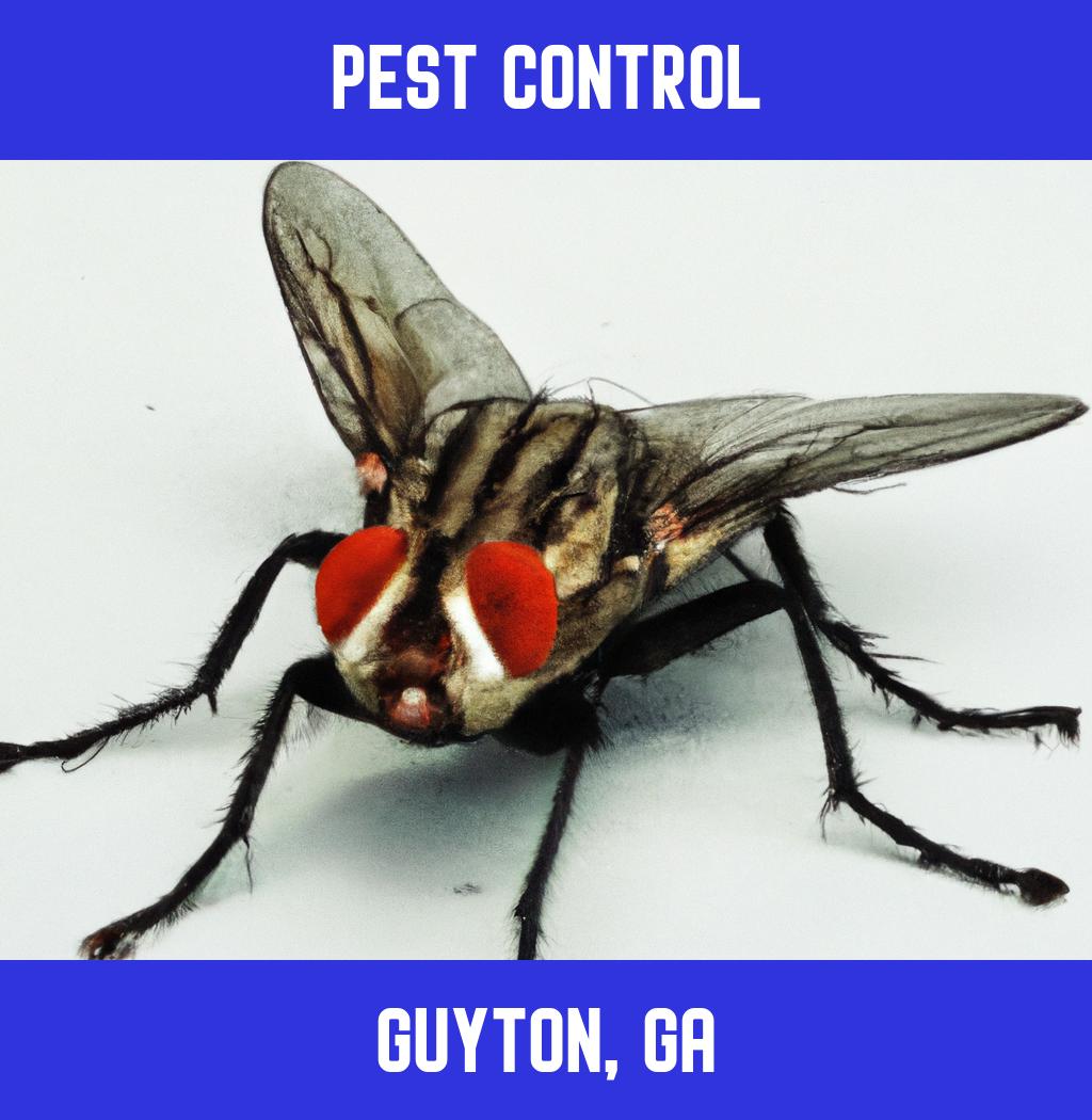 pest control in Guyton Georgia