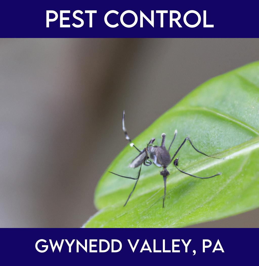 pest control in Gwynedd Valley Pennsylvania