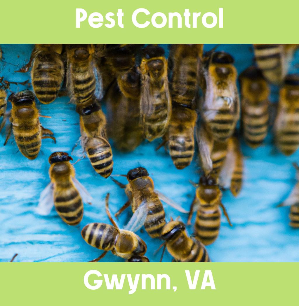 pest control in Gwynn Virginia