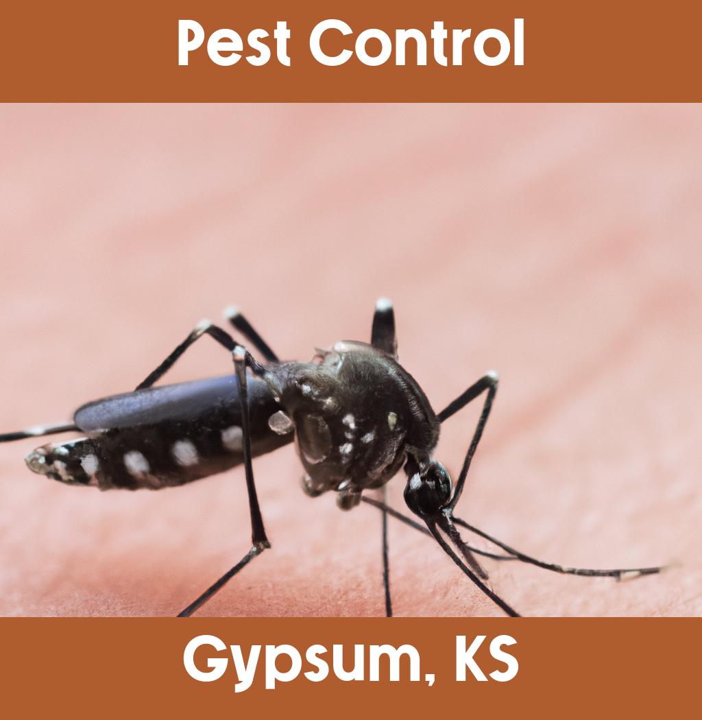pest control in Gypsum Kansas