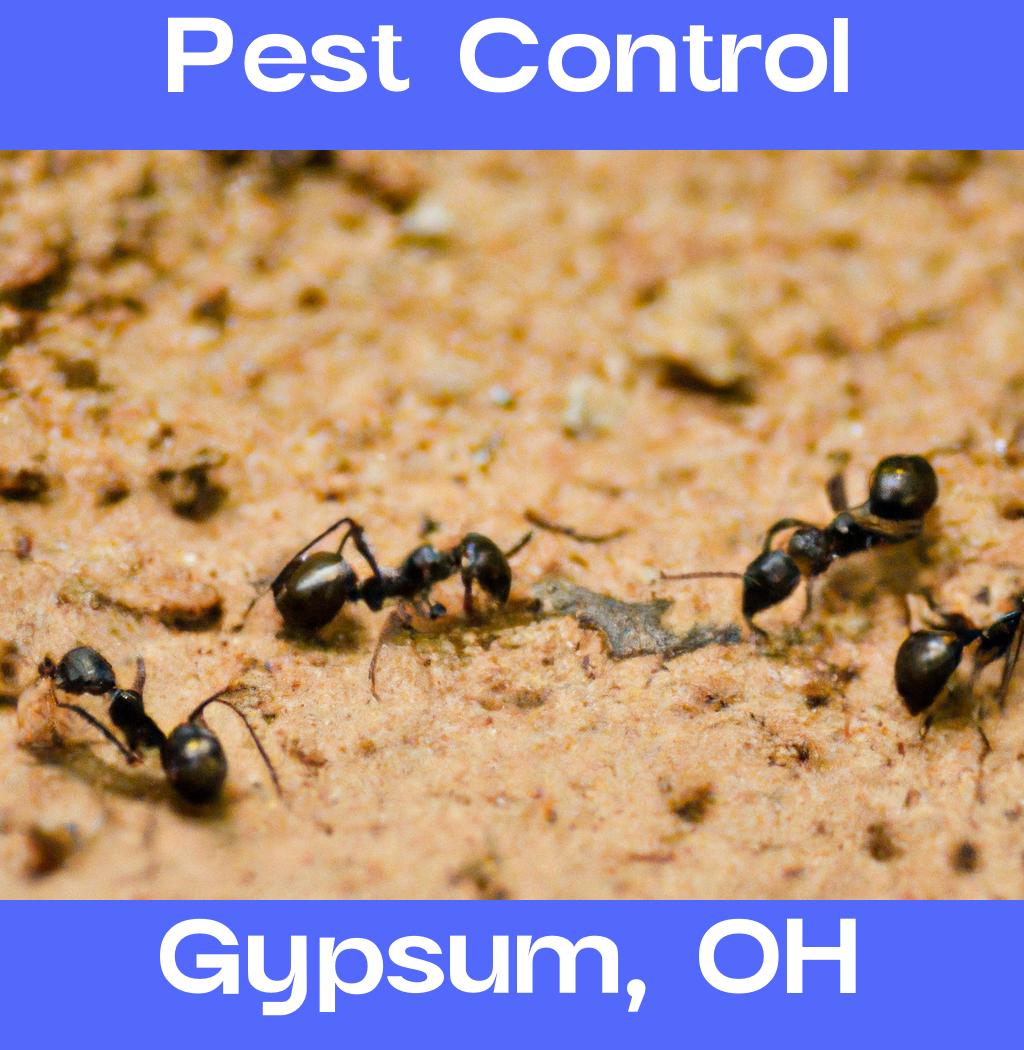 pest control in Gypsum Ohio