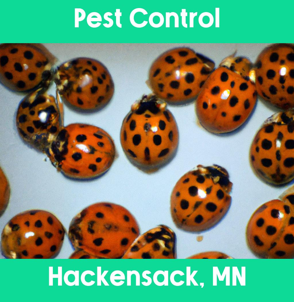 pest control in Hackensack Minnesota